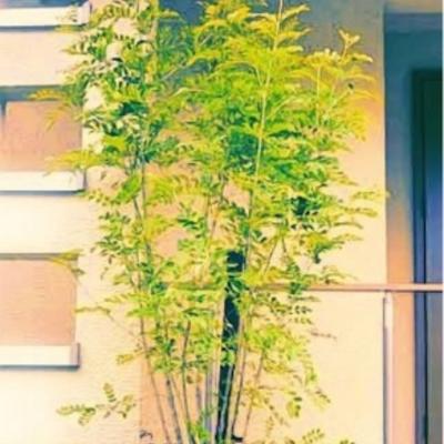 20170216075823 20170216075823