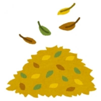 枯れ葉 枯れ葉