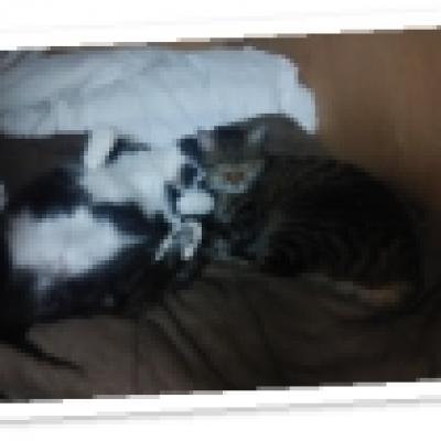 IMG_20181013_234157 IMG_20181013_234157