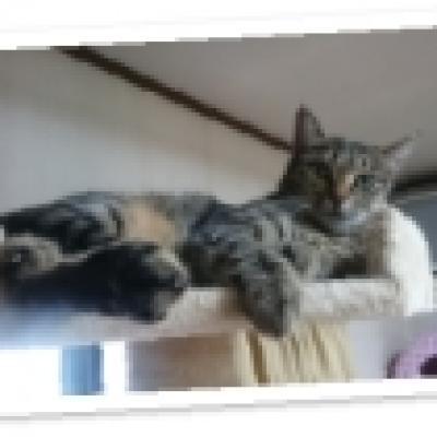 IMG_20181013_234157 IMG_20181013_234157