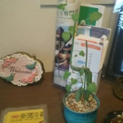 1551329663218 1551329663218