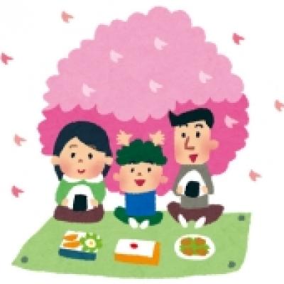 お花見 お花見