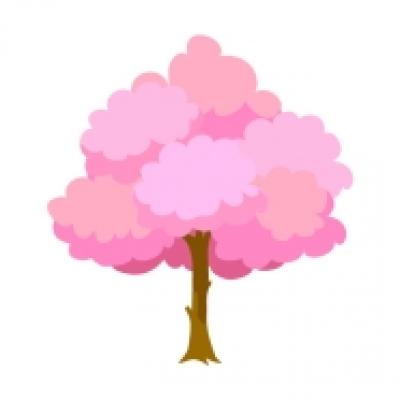 sakura sakura