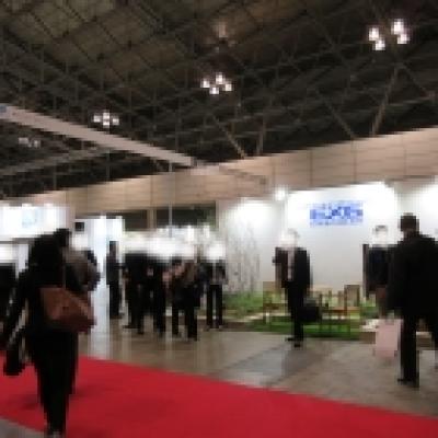 IMG_0954 IMG_0954