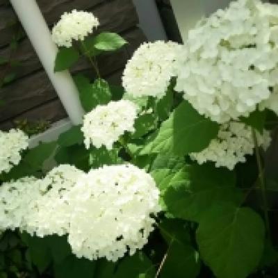 1560495015022 1560495015022