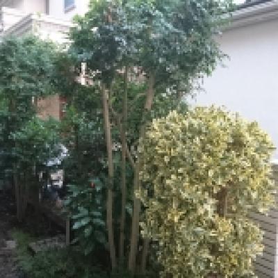 施工前02 施工前02