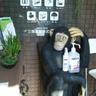 まさお 除菌 まさお 除菌