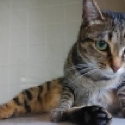 1524962586164 1524962586164