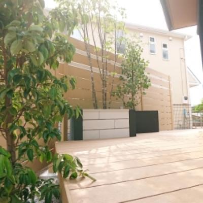 樹ら楽デッキ 樹ら楽デッキ