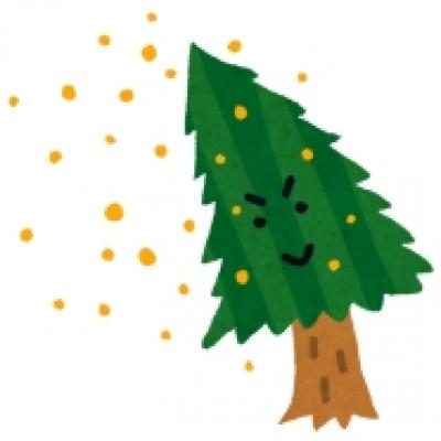 sugi_kafun sugi_kafun