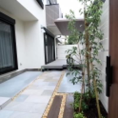 きれいなアプローチ 杉並 きれいなアプローチ 杉並