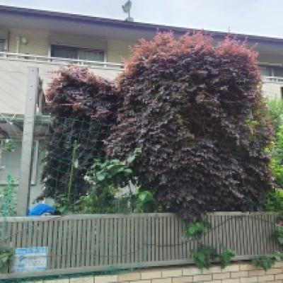 20220516_083612 20220516_083612