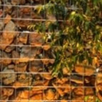 キャプチャ キャプチャ