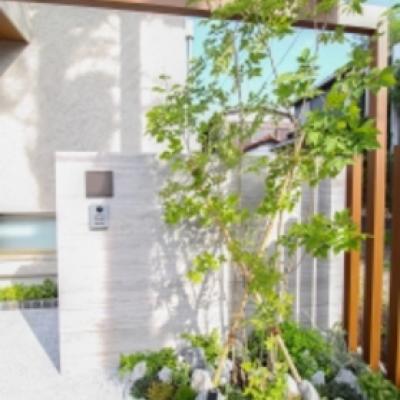 19194HPSUMI450A_IMG_8678 19194HPSUMI450A_IMG_8678