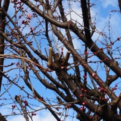 20230131_084453 20230131_084453