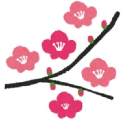 flower_ume flower_ume