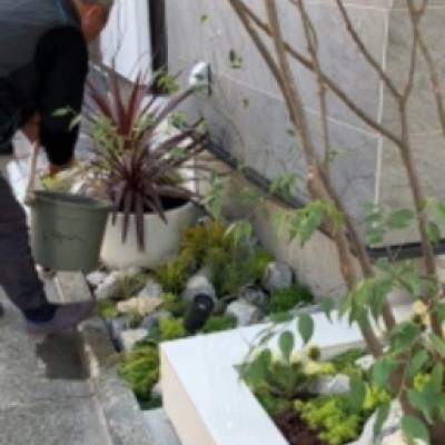 20230224_1622_41_0828w409_h566 20230224_1622_41_0828w409_h566