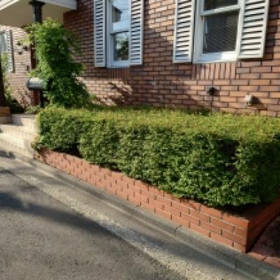 20230503_064910 20230503_064910