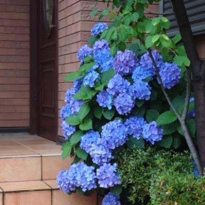 20230609_135030 20230609_135030