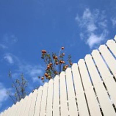 IMG_9840 IMG_9840