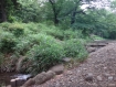 DSC01847