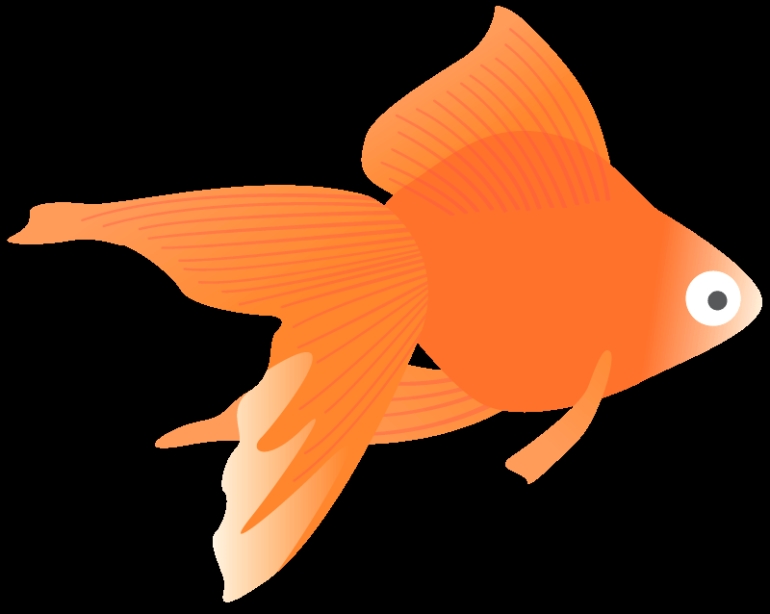 NiwaNaviPopupImage
