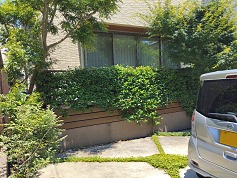 IMG_20250605_121846