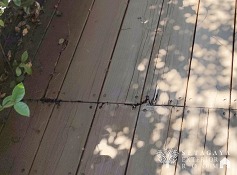 IMG_20250605_120807beforea