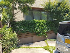 IMG_20250605_121846r