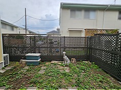 20240617_143350ab 20240617_143350ab