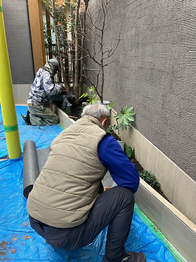 ���ϡ����������