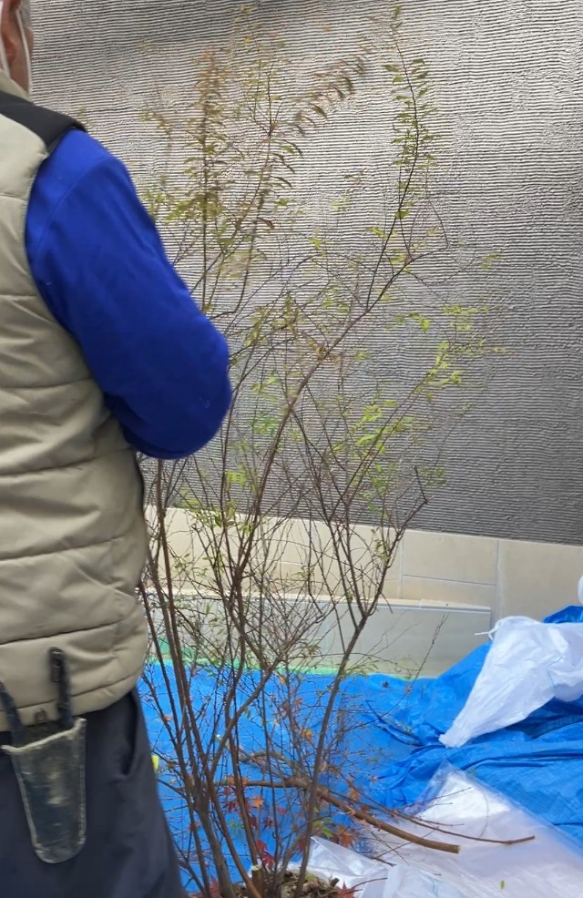 �����꡼�󥷥�å� 2026-01-27 141909